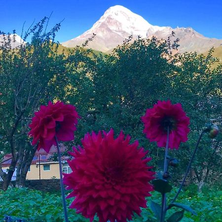 Nino & Zurabi Guest House Kazbegi Eksteriør bilde