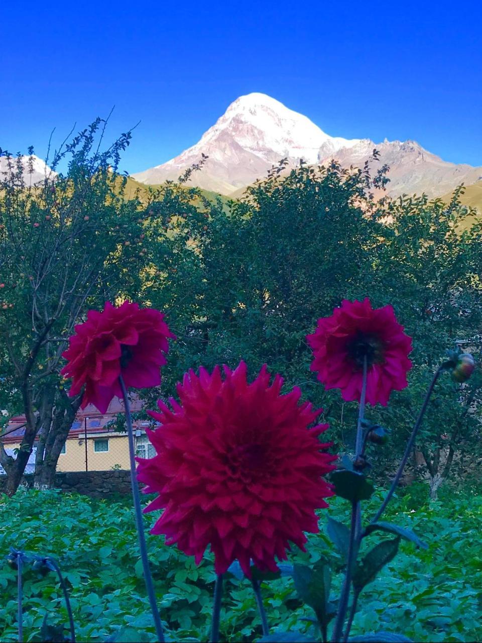 Nino & Zurabi Guest House Kazbegi Eksteriør bilde